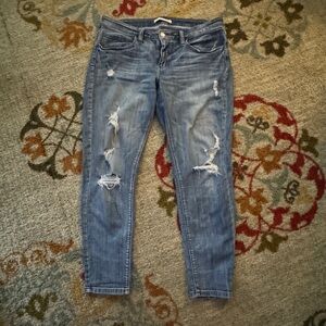 Day trip 31 - from the buckle